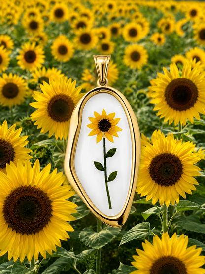 Charm Girasole Primo