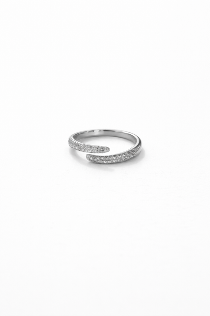 Anello Speech