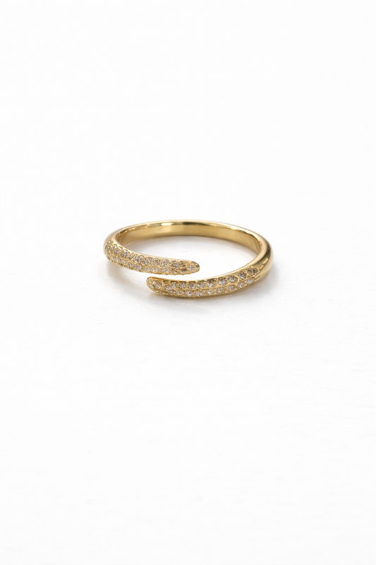 Anello Speech