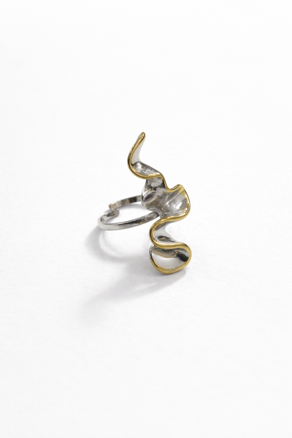 Anello Zainef