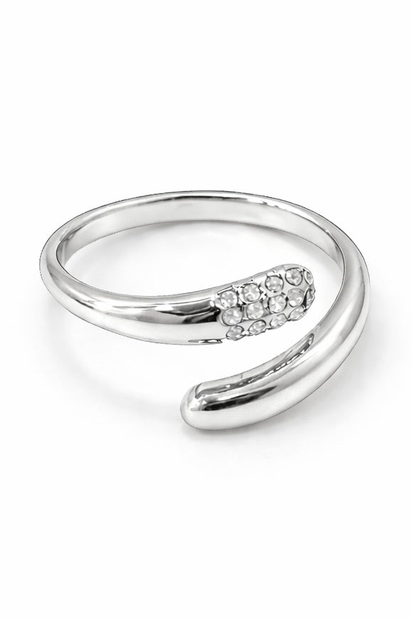 Anello Speech2