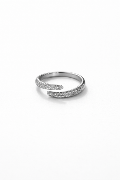 Anello Speech