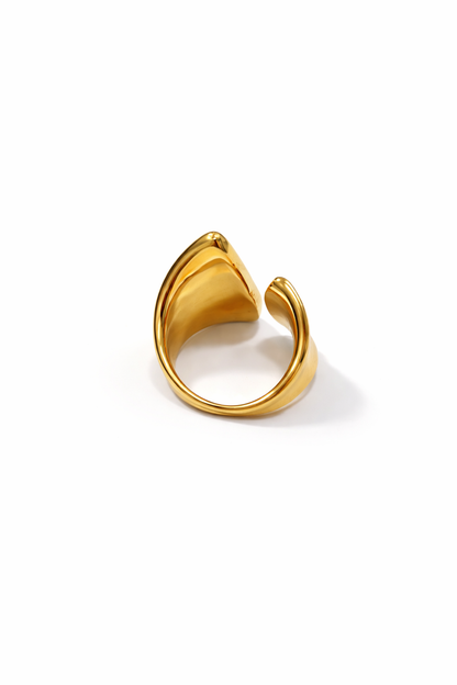 Anello Arquè