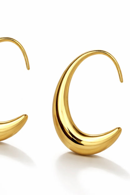 Orecchini Hook