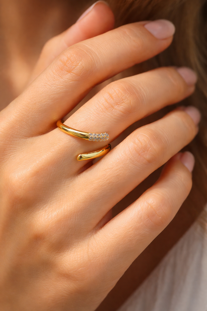 Anello Speech2